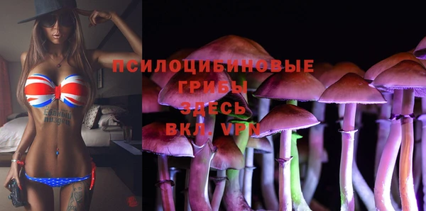 дживик Абинск