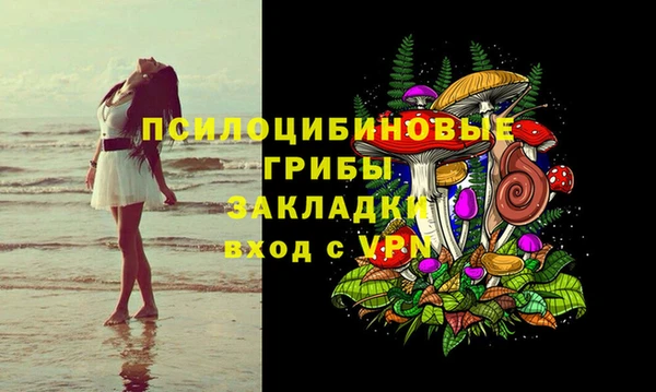 крисы Абдулино