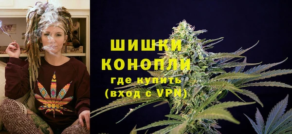 дживик Абинск