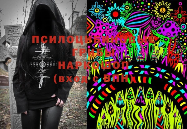 крисы Абдулино