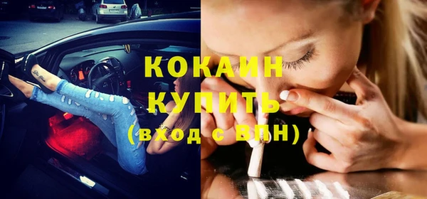 дживик Абинск