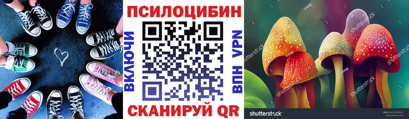 Псилоцибиновые грибы ЛСД  Райчихинск 